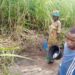 Water Project Ghana Slider