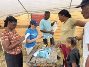 RipplAffect Jamaica 2025-06